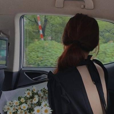 蔬菜历险记