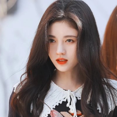 摄影师贝尔蒂与海豚零距离